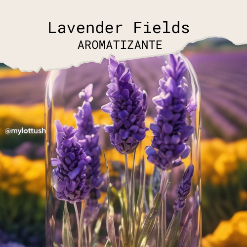 aromatizante de lavanda lavender fields mylottush