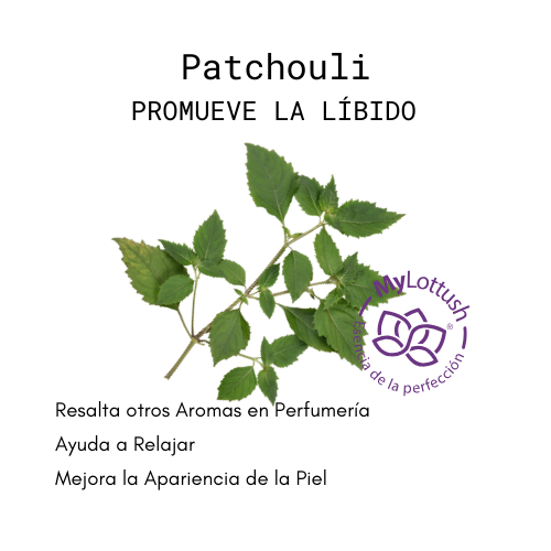 aceite esencial de pachuli patchouli mylottush
