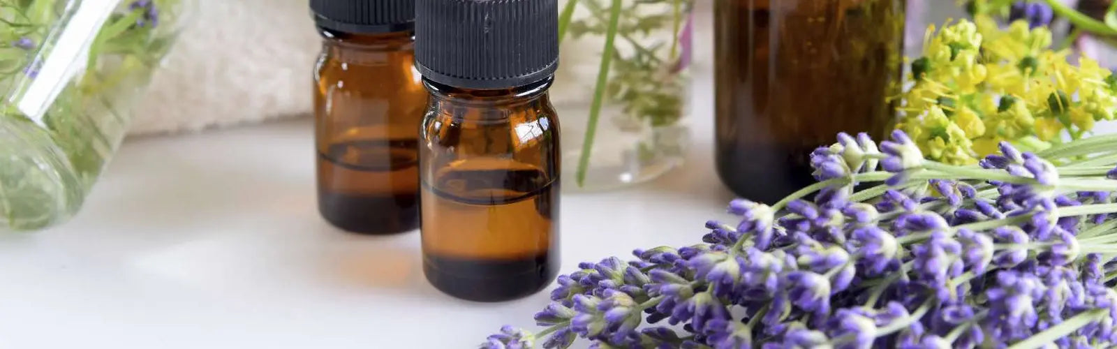 Características Importantes de los Aceites Esenciales - Mylottush