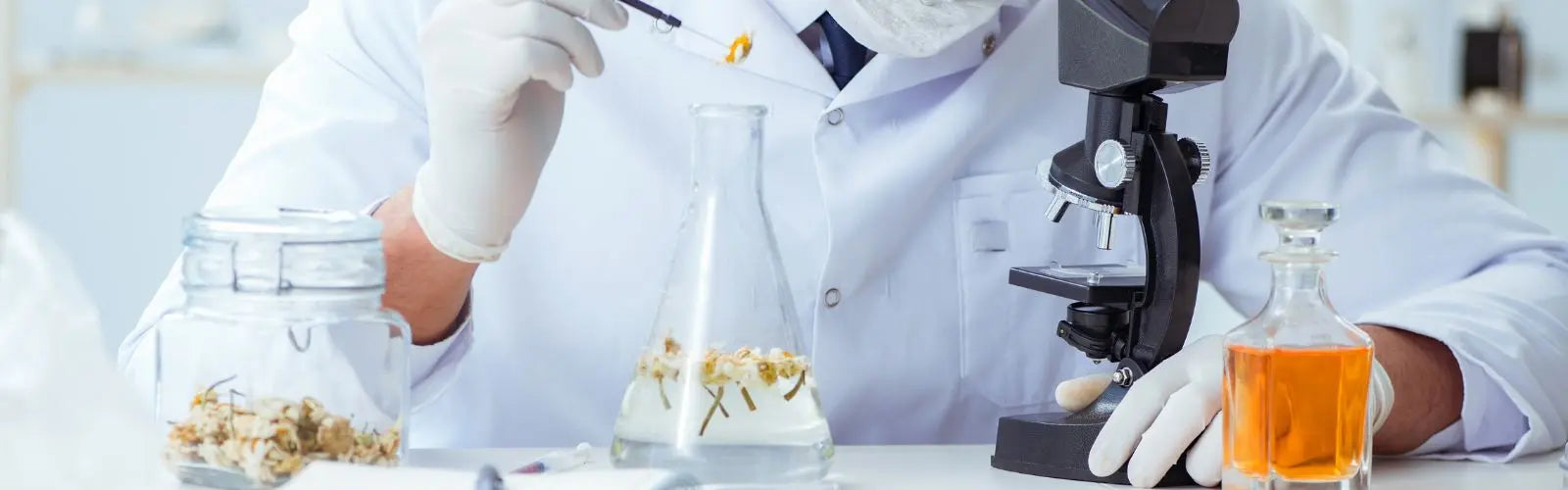 La Química de los Aceites Esenciales - Mylottush