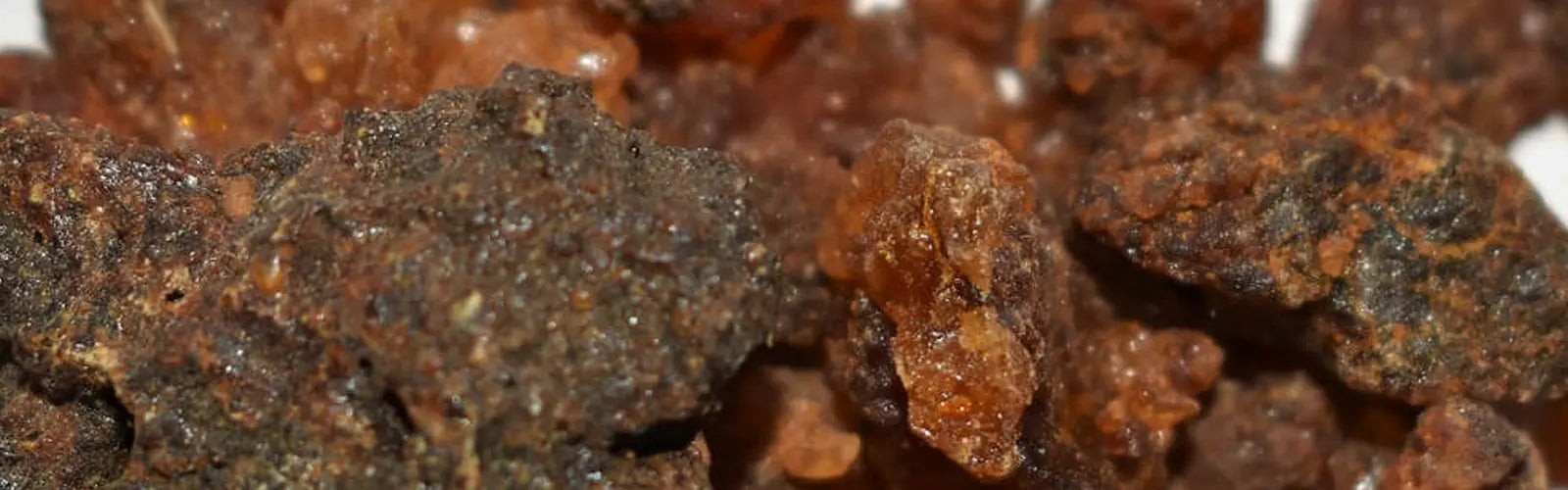 Beneficios del Aceite de Mirra - Mylottush