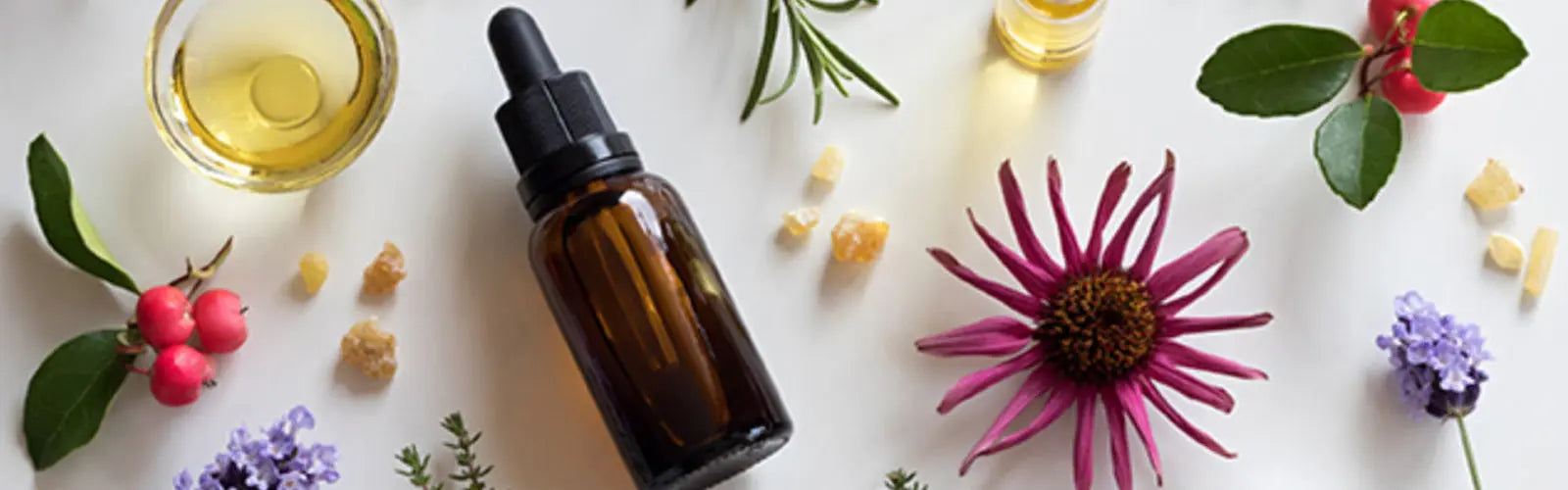 Precios de los Aceites Esenciales - Mylottush
