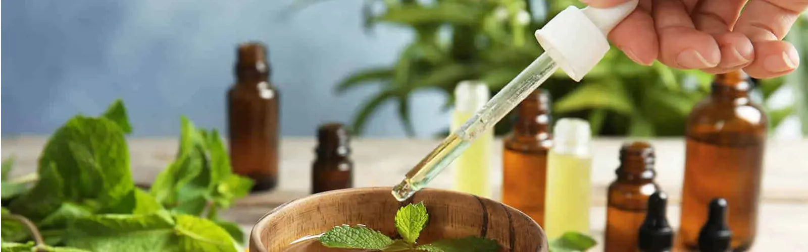 Contraindicaciones de los Aceites Esenciales - Mylottush