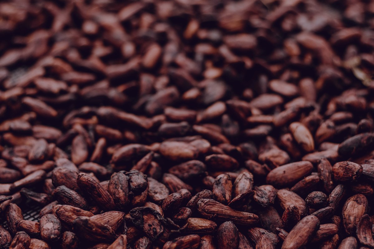 Haba Tonka (Tonka Bean)