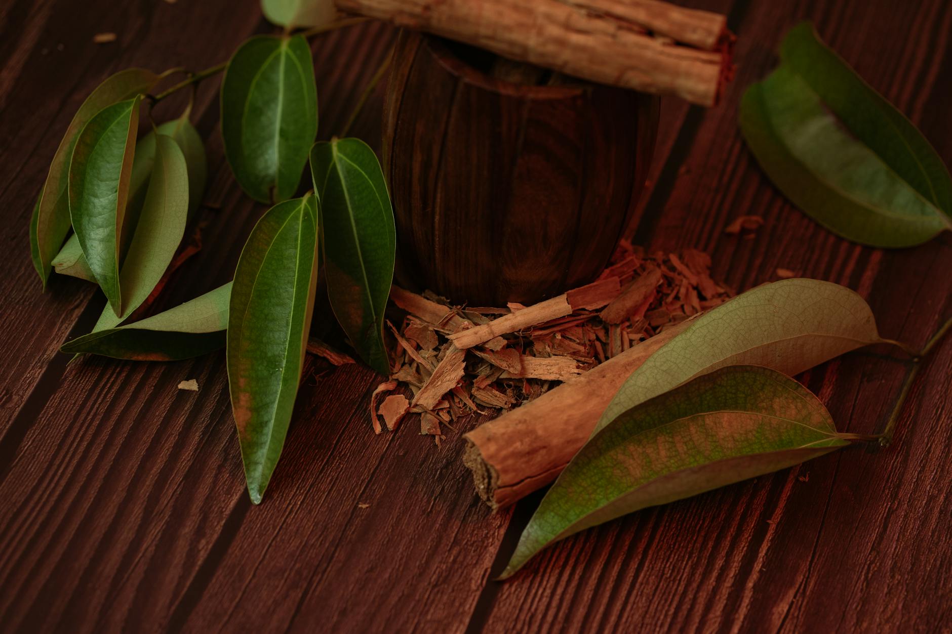 Canela Hoja: Historia Milenaria del Aceite de Canela y Cómo Usarlo con Seguridad