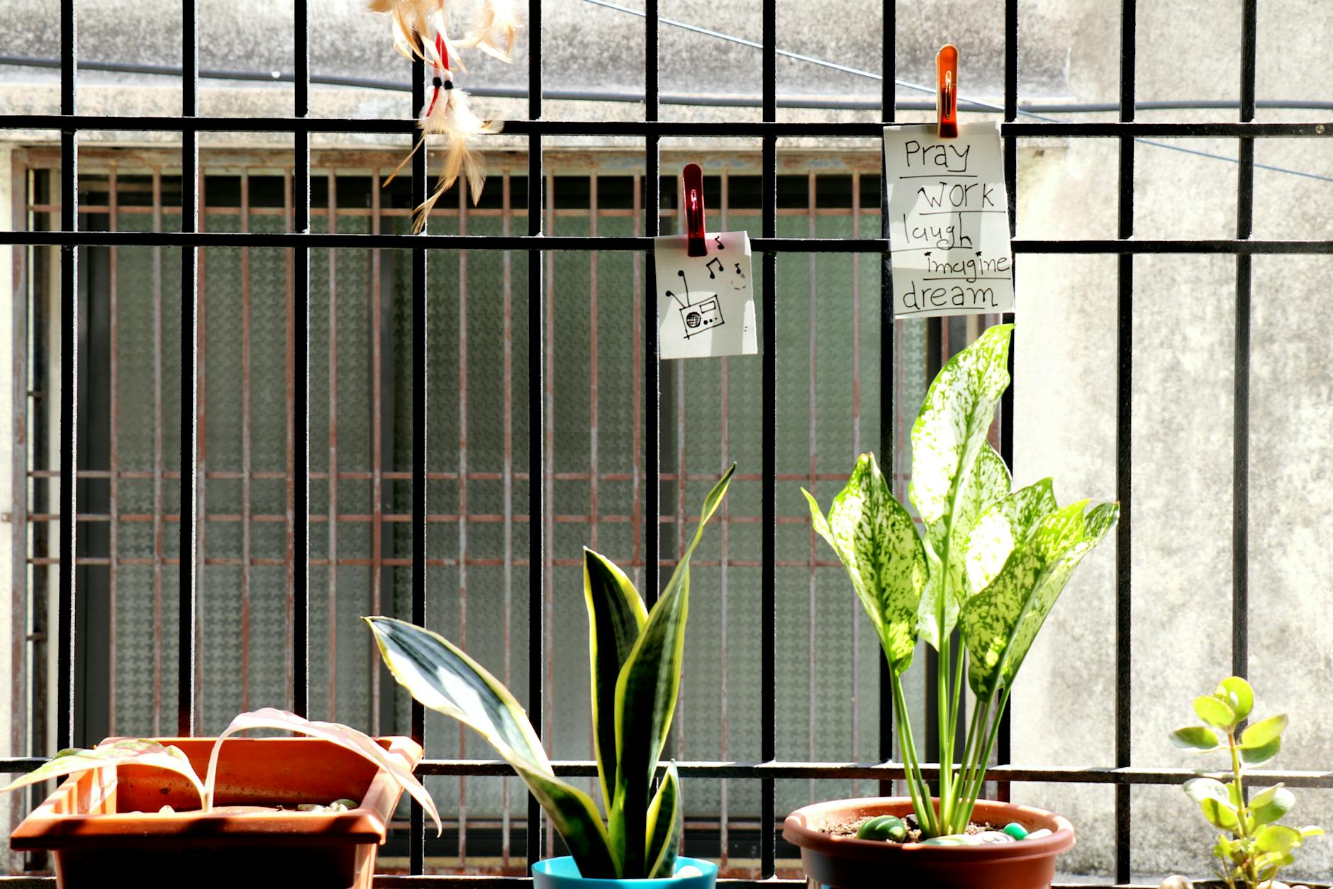 Cómo Limpiar Tu Hogar con Aceites Esenciales: Recetas con Árbol de Té, Lavanda y Limón