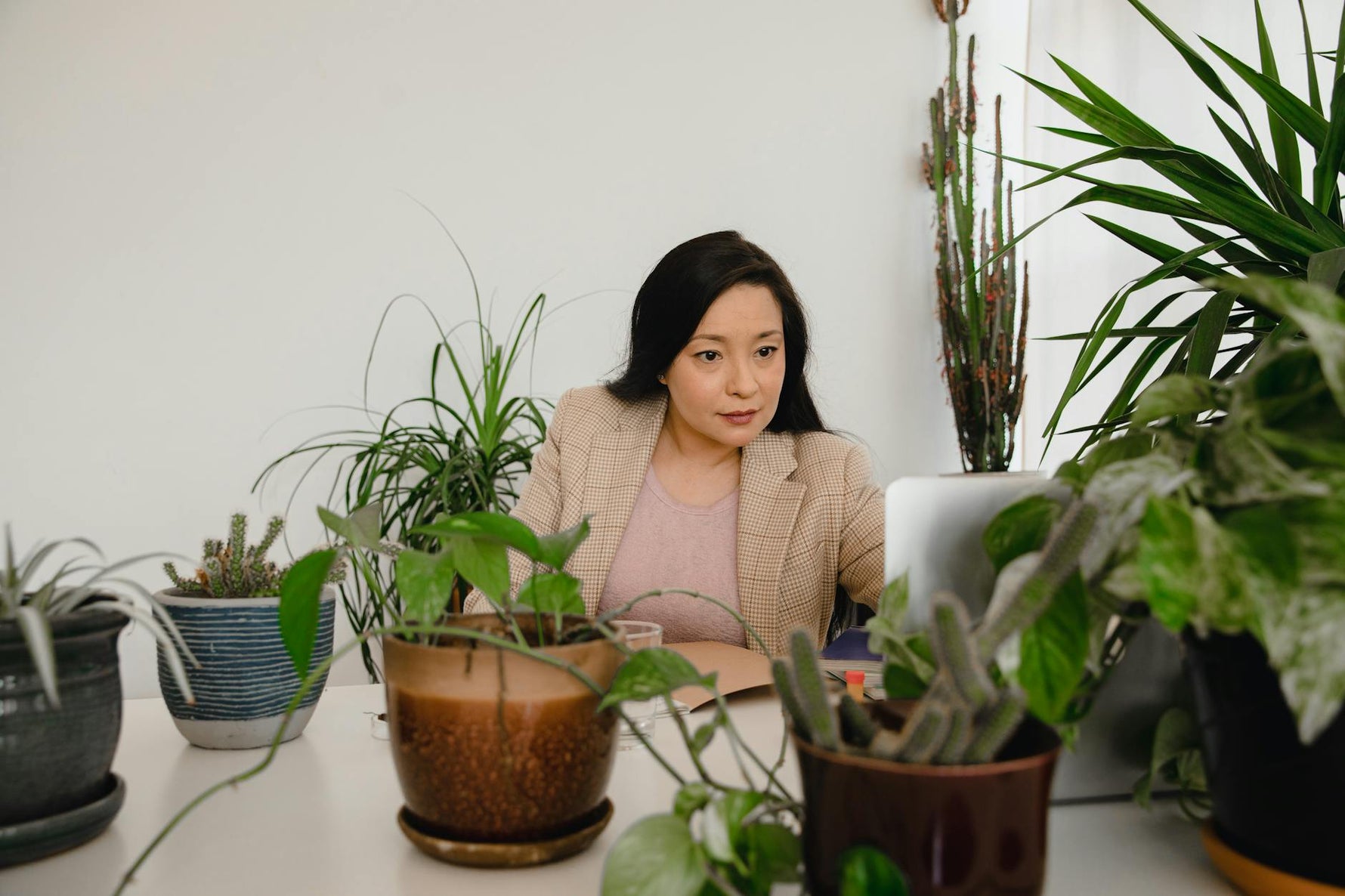 Blends para el Trabajo: Concentración, Creatividad y Productividad con Aromaterapia
