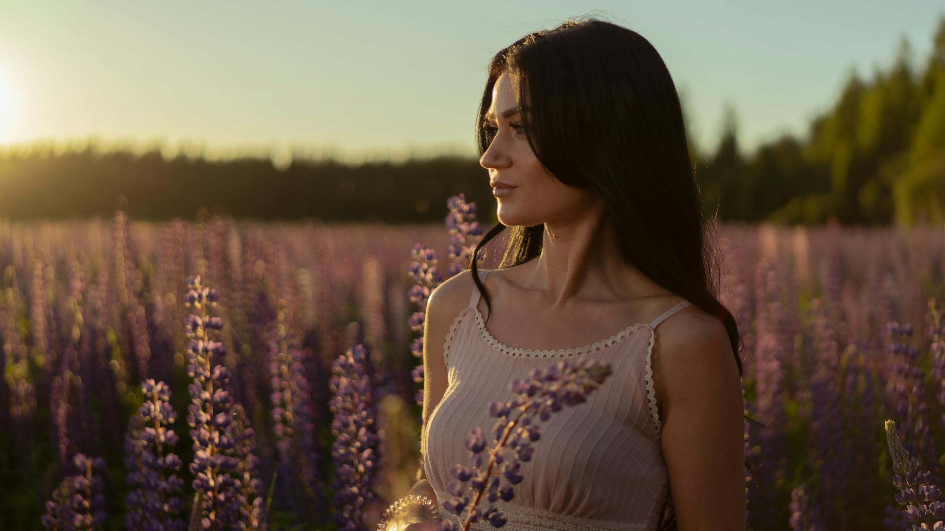 La Aromaterapia para la Ansiedad: Lavanda, Bergamota, Vetiver y Ho Wood