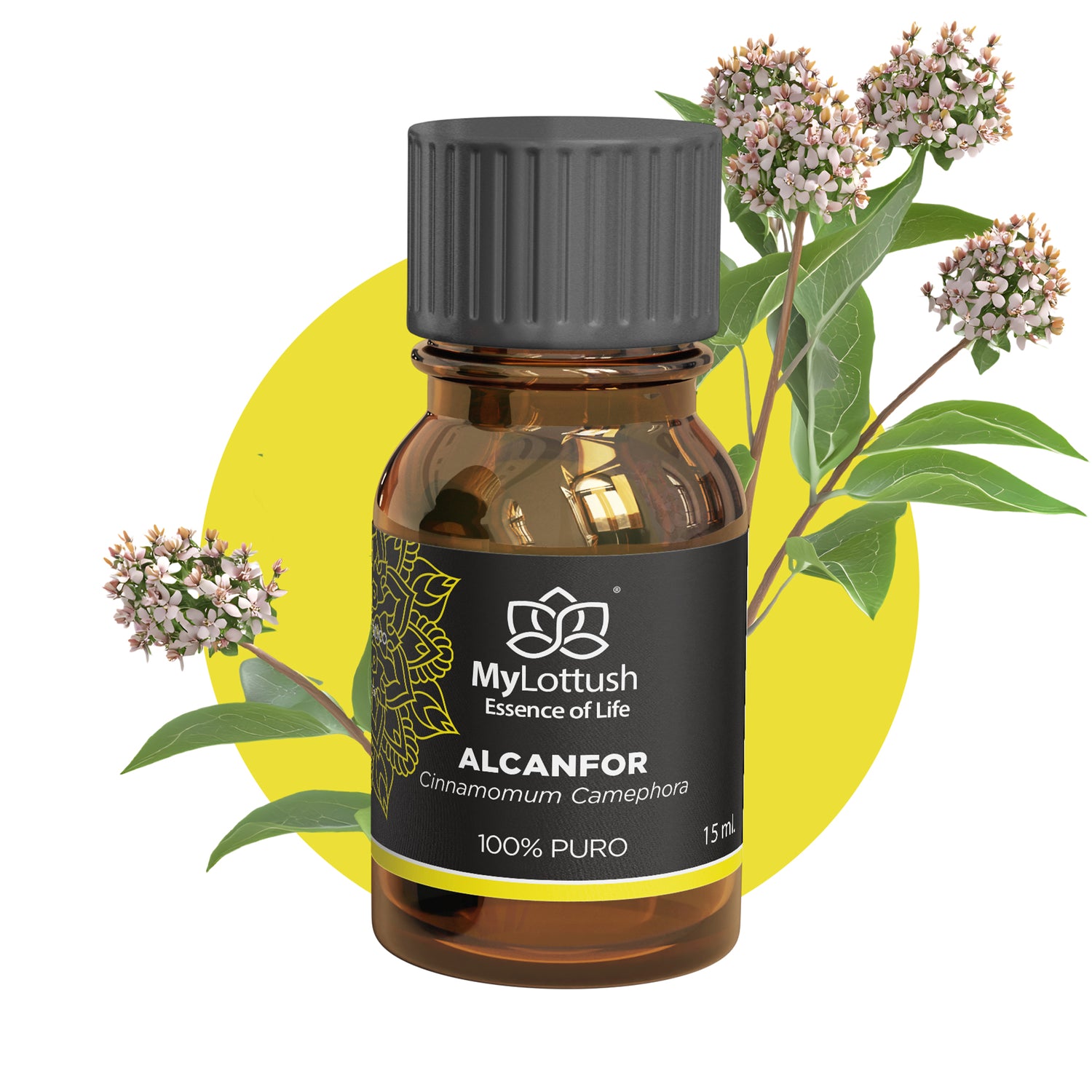 Aceite Esencial de Alcanfor (Ravintsara)