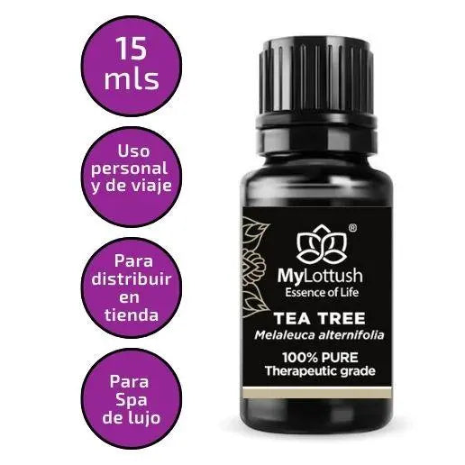 Árbol de Té - Mylottush