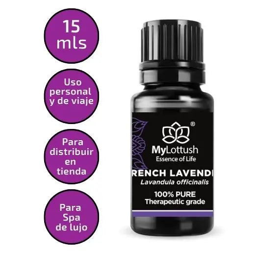 Lavanda Officinalis - Mylottush