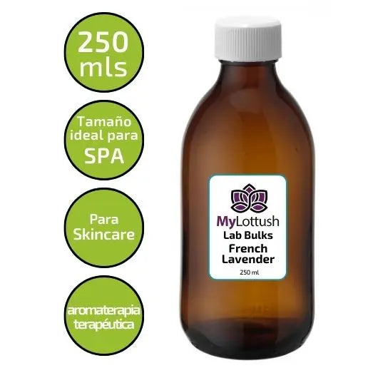 Lavanda Officinalis - Mylottush