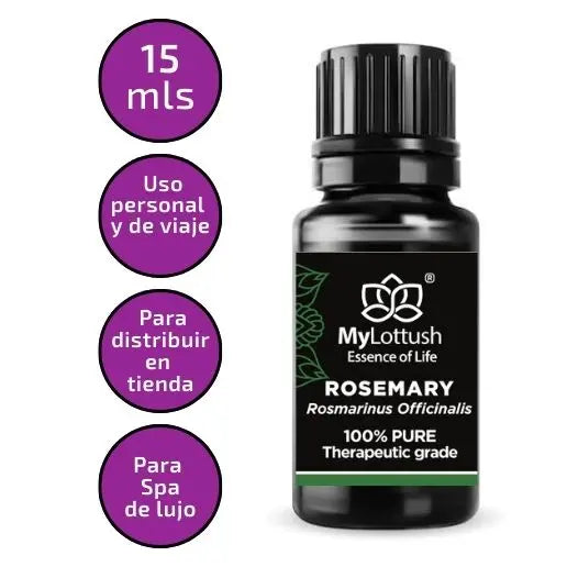 Romero Officinalis - Mylottush