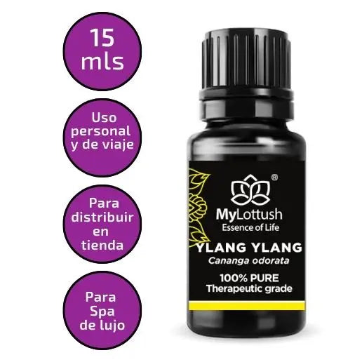 Ylang Ylang - Mylottush