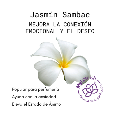 aceite esencial de jazmni sambac absoluto