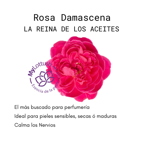 aceite esencial de rosa damascena