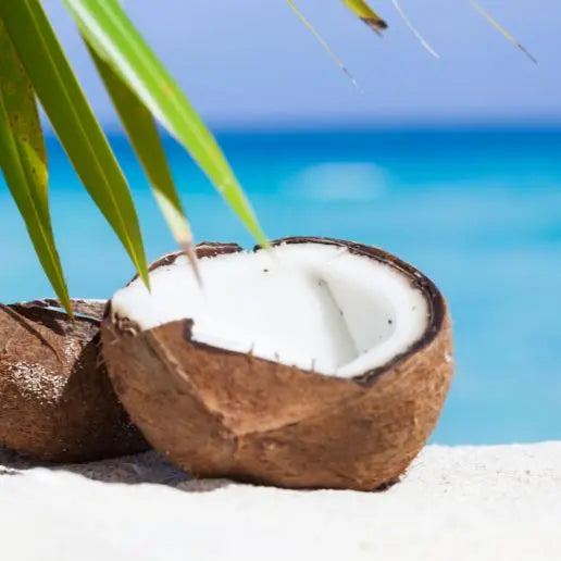 Aromatizante de Coco Caribe - Mylottush