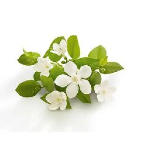 fragancia de neroli