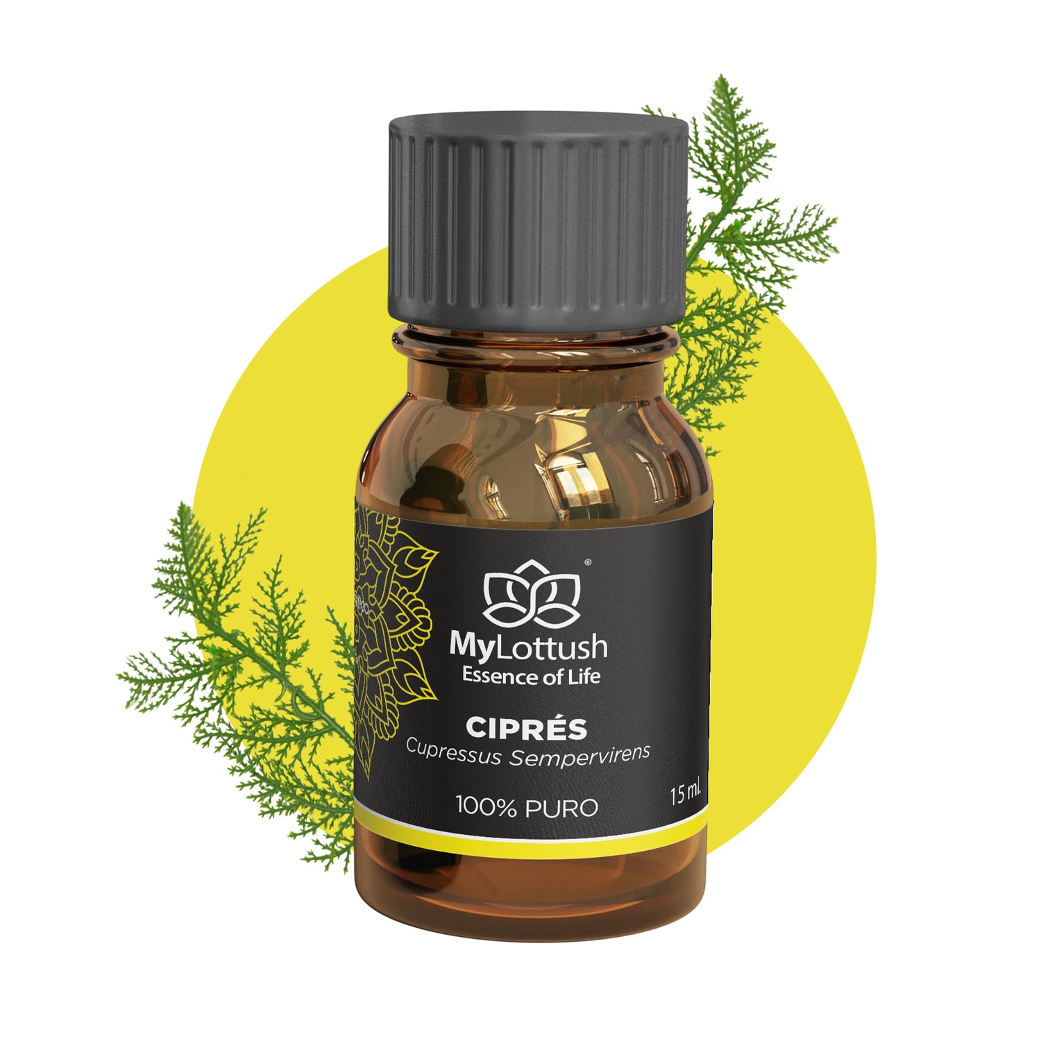 Aceite Esencial de Ciprés