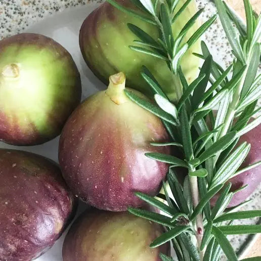 Fragancia Fig & Rosemary - Mylottush