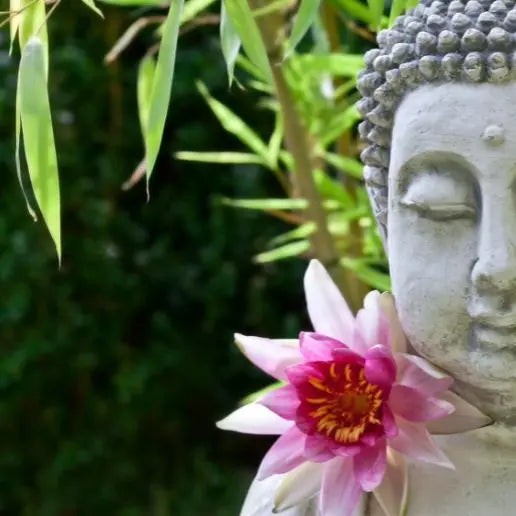 Fragancia Lotus & Bamboo - Mylottush