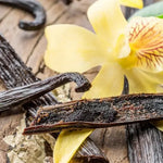 Fragancia Vanilla Nights - Mylottush