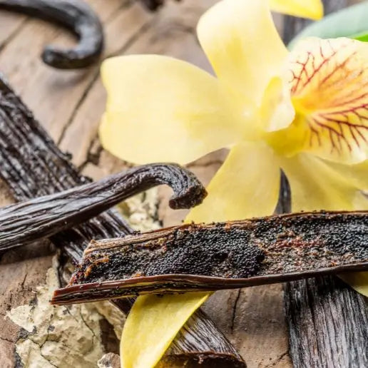 Fragancia Vanilla Nights - Mylottush