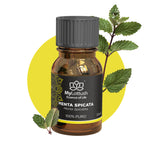 Aceite Esencial de Menta Spicata
