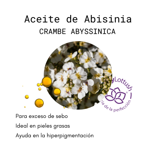 aceite de abisinia crambe abyssinica