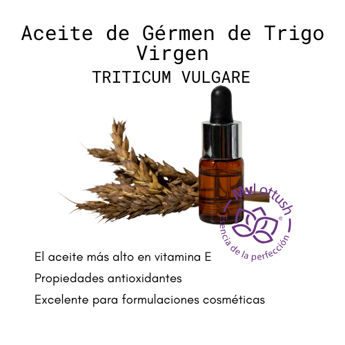 aceite de germen de trigo virgen