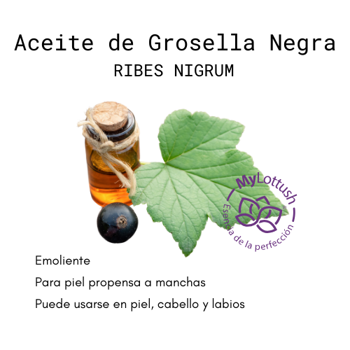 aceite de grosella negra black currant
