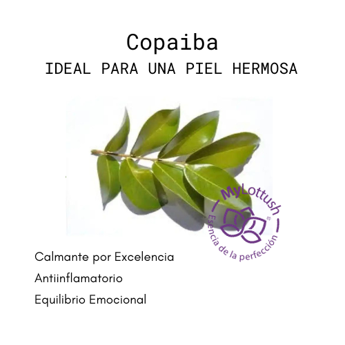 Aceite Esencial de Copaiba
