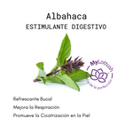 Aceite Esencial de Albahaca