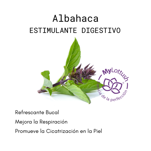 Aceite Esencial de Albahaca