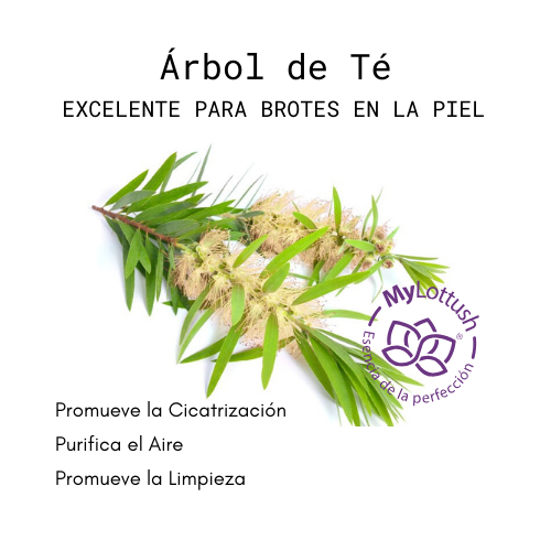 aceite esencial de arbol de te (melaleuca)