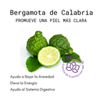 Aceite Esencial de Bergamota de Calabria