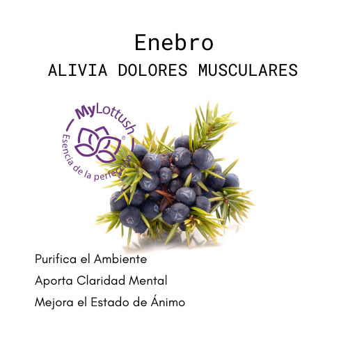 aceite esencial de enebro