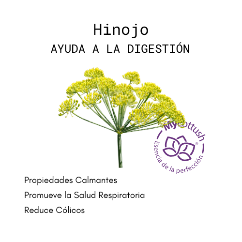 aceite esencial de hinojo mylottush