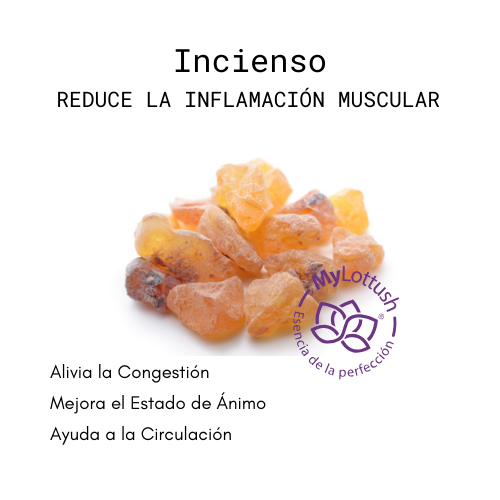 aceite esencial de incienso mylottush