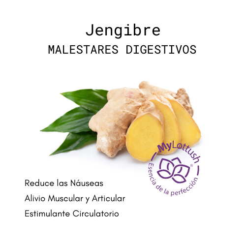 aceite esencial de jengibre mylottush