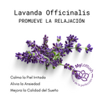 Aceite Esencial de Lavanda Officinalis