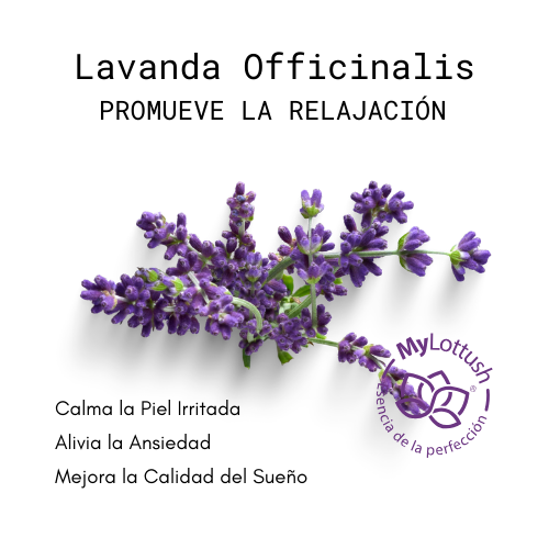 Aceite Esencial de Lavanda Officinalis