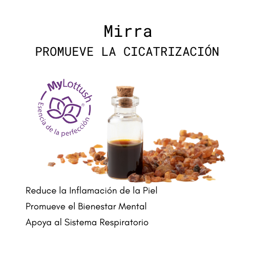 aceite esencial de mirra mylottush