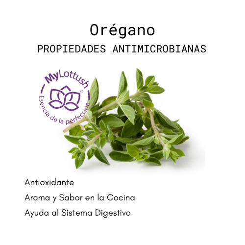 aceite esencial de oregano mylottush