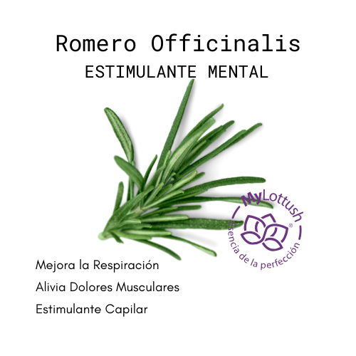 Aceite Esencial de Romero Officinalis