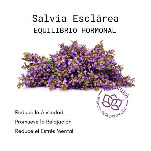 aceite esencial de salvia esclarea mylottush