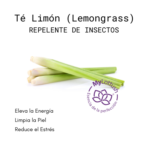 aceite esencial de te limon lemongrass mylottush