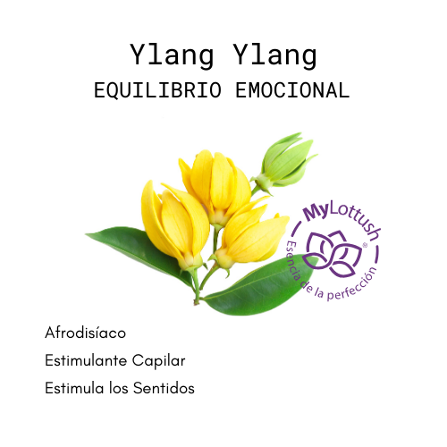 aceite esencial de ylang ylang