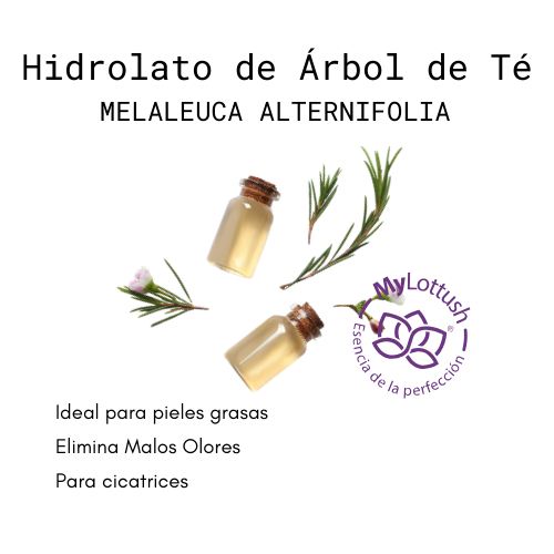hidrolato de arbol de te. Agua floral de arbol de te. Melaleuca